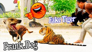 Fake Tiger Prank Dog - Can I Stop laugh this Funny video