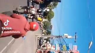 alpha kappa rho 50th golden aniversarry motorcade