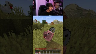 Minecraft, But I Can Shear More Mobs