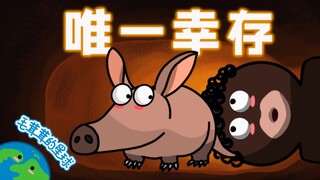 【Tê tê】Chú voi có đôi tai thỏ