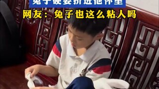 小男孩在穿袜子，兔子硬要挤进他怀里，网友：兔子也这么粘人吗