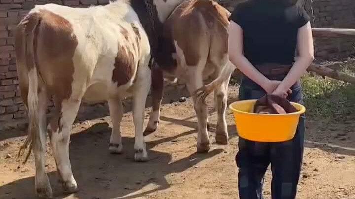 San Ye: Actually, you two also contributed to this natural fertilizer.