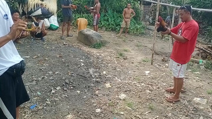 Hindi na tumuka. naawa sa kalaban