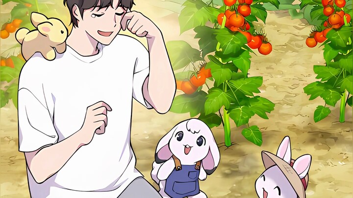 The boy must grow 500 tomatoes in one day#二元#Comic explanation