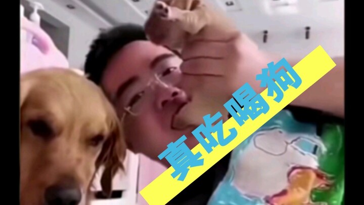 What if you suddenly crave dog meat? The shocking twist when you actually eat it!