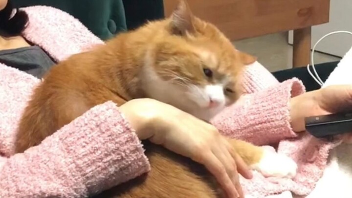 Xiao Mi washes clothes (mistake)