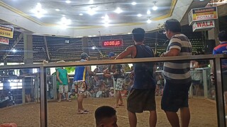 2cocks ulotan First fight blue side Tayo mga idol😇  #alagang B-Meg Integra #fyp #GodbetheGlory😇😇