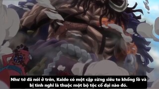 4 Giả Thuyết Hay Nhất Về Kế Hoạch Tân Onigashima p7