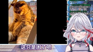 日本天然小姐姐看《感到有些可笑，感到有些悲伤》