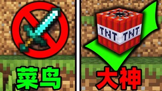 把TNT开发到极致，这才是MC的真正玩法！