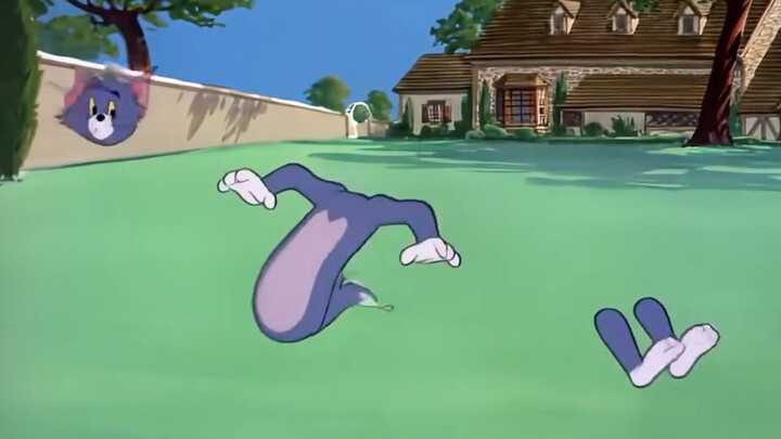 There are so many mice that Tom can’t catch them all.