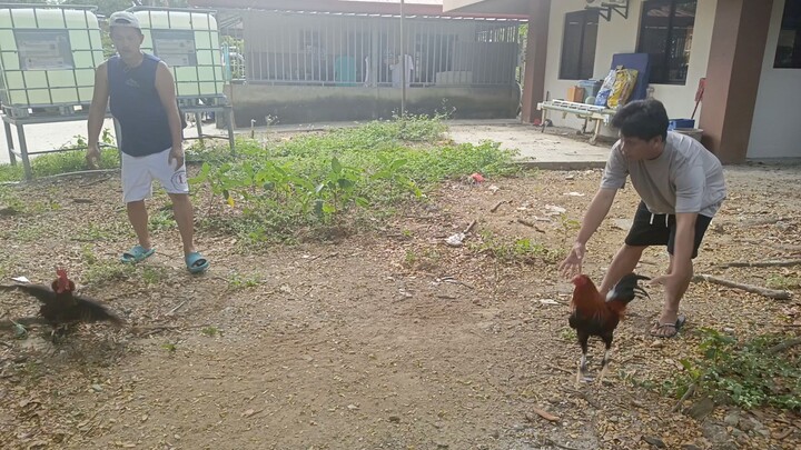 Sweater Punggal line vs Alimbuyugin