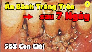 Tởm Đến Già Khi Biết Sự Kinh Hoàng Của Bánh Tráng Trộn Dưới Kính Hiển Vi !!!