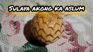 LIBAS CHALLENGE