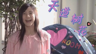 【Kabuto/天道树花】欧尼酱~哦哈哟！