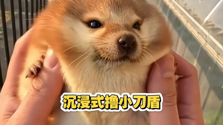 Pure Enjoyment: 90-Second Immersive Knife-Shield Massage