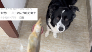 小狗：糟了，是数学课
