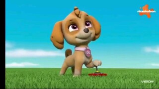 paw parrol musim 7 Episode 7 dan Episode 8 Bahasa indonesia vision+