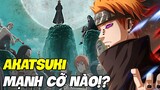 Nguồn Gốc & Sức Mạnh Các Thành Viên Akatsuki Trong Naruto?