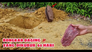 EKSPERIMEN: KUBUR DAGING 40HARI MENGGUNAKAN INI #part1 (zoom mikroskop)