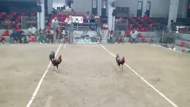 Bulik X Hatch (Immortal Bulik) | 2nd Entry @ Amansabina Cockpit Arena | 2nd Fight (Win) Champion