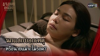 นกแสกบอกเหตุ หรือนายแม่จะไม่รอด? | Highlight บางกอกคณิกา Ep.07 | 29 พ.ค. 67 | one31