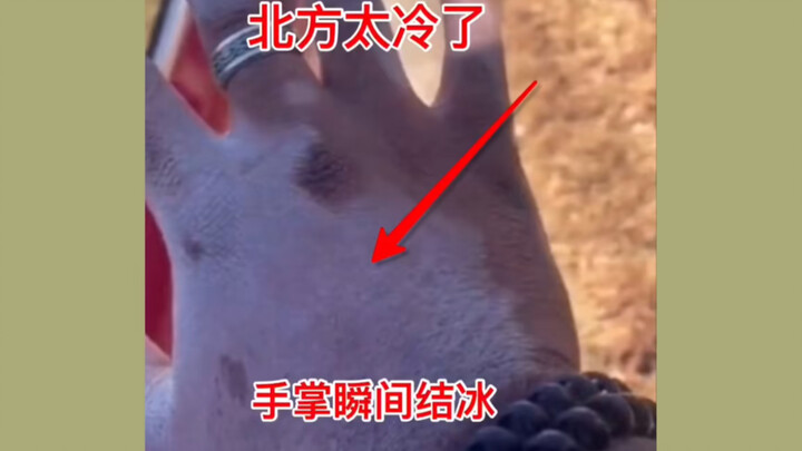 It’s so cold in the North—the moment you take it out, it freezes!