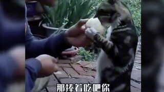 มีอะไรที่เทียบได้กับการกินข้าวบ้าง?