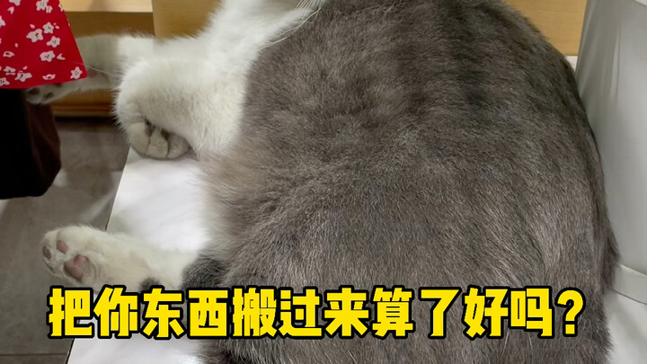อากาศร้อนขนาดนั้น วิ่งไปมาสองที่ก็เหนื่อยเหมือนกัน!