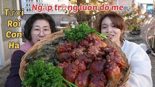 |1006| CÙNG MẸ CHỒNG ĂN MÂM DỨA BIỂN VÀ HẢI SÂM TƯƠI SỐNG CHẤM TƯƠNG ỚT WASABI SIÊU NGON.