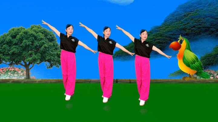 Popular square dance "Bird Shake" 32 steps, with instructions on the front and back
