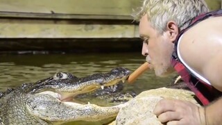 外国人少系列，我们有特殊的控制人口方式