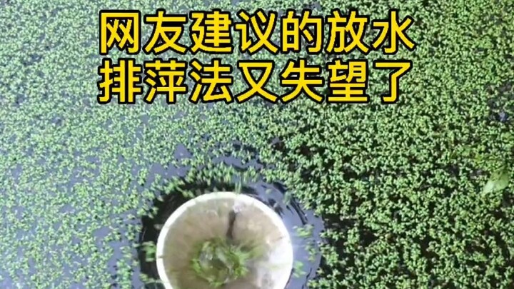 حتى طريقة تصريف الماء وإزالة الطحالب التي اقترحها المستخدمون على الإنترنت لا تبدو فعّالة كثيرًا.