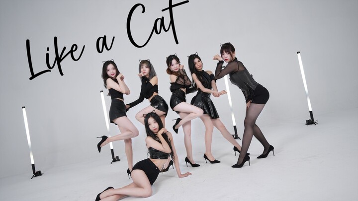 【Cover】AOA - 猫步轻悄 | 迟到的七夕限定❤可以做你的专属小猫咪么？❤