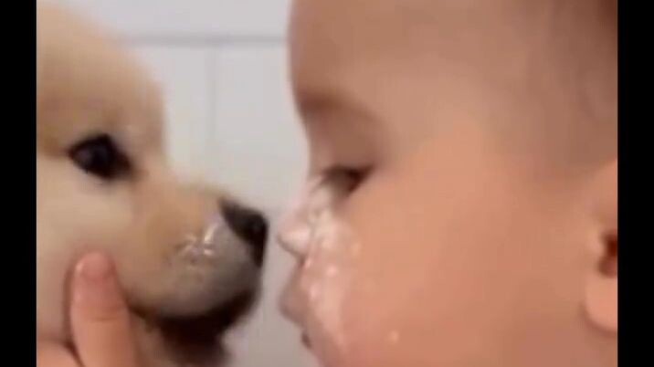 hahaha so cute🤗🤗😍😍