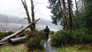 Olympic National Park's Spruce Nature Trail & Hall of Mosses