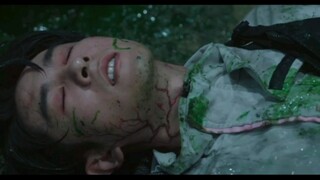 【深渊黑花】战损花合集