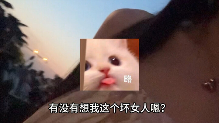 Tưởng là cô gái ngọt ngào hóa ra lại… Lâm Đại Ngọc quật ngược Lỗ Trí Thâm (bùi nhùi, thực ra còn ngọ