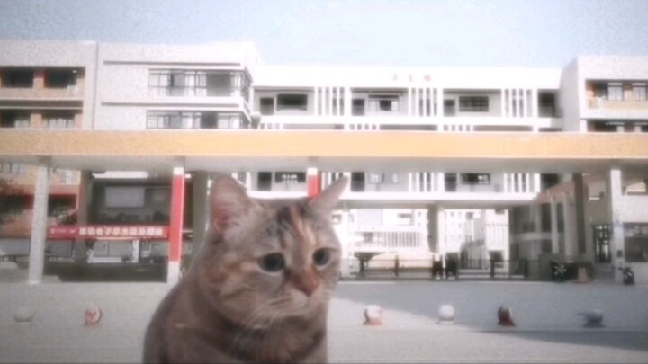 There is always something better, what is the best?