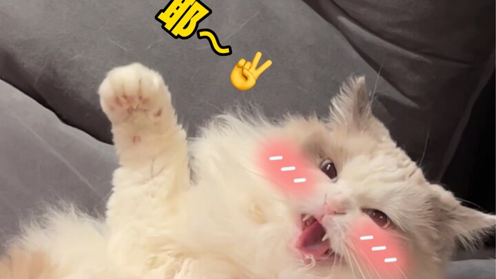 In this home, we must fight!
