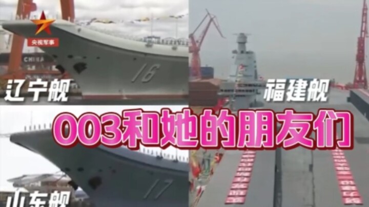 003 dan Teman-Temannya~