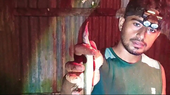 রাত 1: টায়