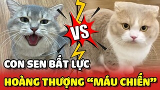 Hai Hoàng Thượng "MÁU CHIẾN" đánh nhau khiến Sen chỉ biết LA HÉT trong bất lực 😧 | Yêu Lu