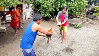 talisayin vs pula katuwaan lang habang nainum