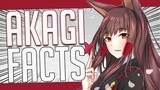 5 Facts About Akagi - Azur Lane