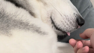 مزعج، اقتربت كثيرًا