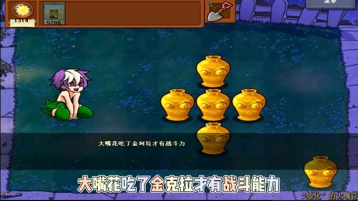 ข้าวโพดธรรมดา