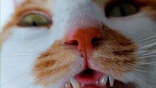 Tại sao tôi phải chịu đựng điều này mỗi ngày khi thức dậy...