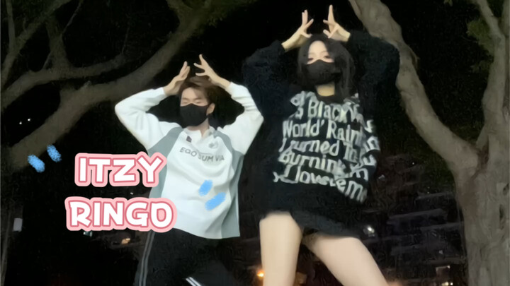 Have some fun with Teacher Xie and Ringo!