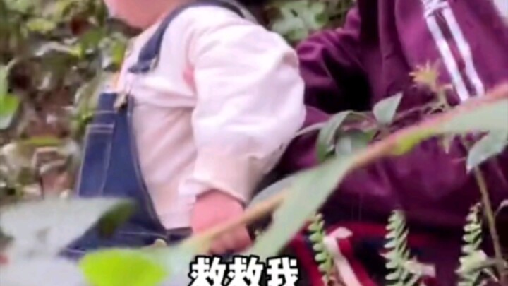 Cứu tôi với, bà ngoại không cho tôi đi hái măng